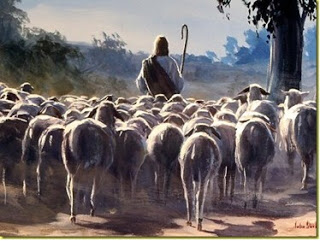 The Sovereign Shepherd